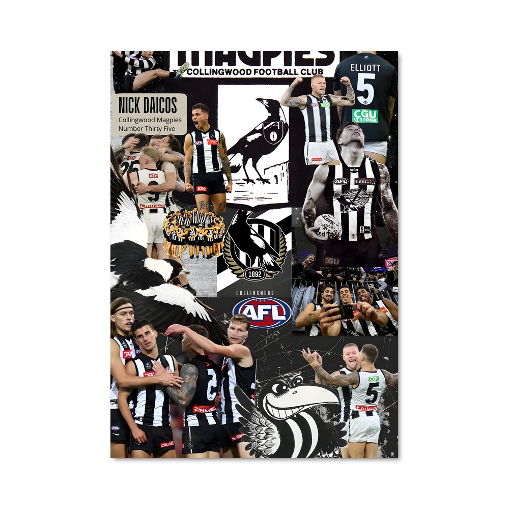 Poster L'Essence des Magpies